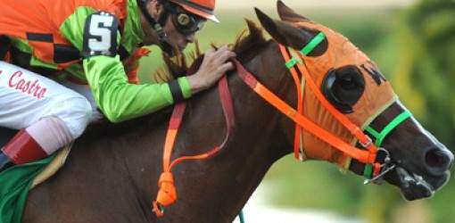 My Wandy’s Girl, la gota que al fin pudo romper la roca