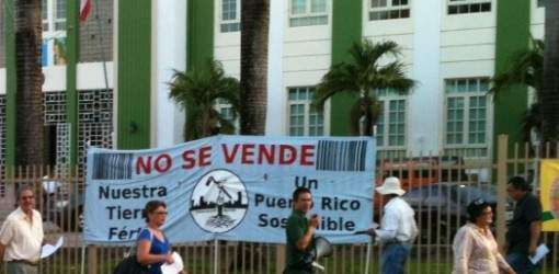 Molinos vs. comida: Denuncian al DA en ‘clara violación de ley’