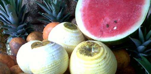 Vales a las personas de edad avanzada