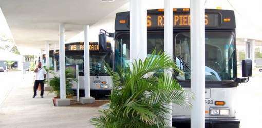 Guaguas para despedir al cardenal