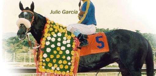 Orejitas hípicas domingo: Se corre hoy el Derby Puertorriqueño