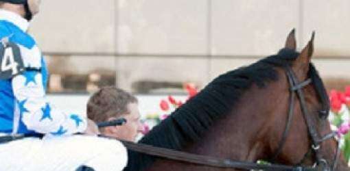 Conexión dominicana en el Preakness