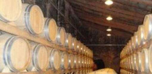 Llegan los Vinos de Mallorca
