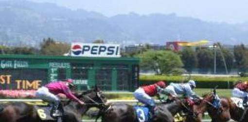 Orejitas hípicas sábado: Special Saturday sería favorita en la cuarta