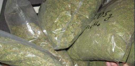 Incautan 28 libras marihuana en aeropuerto