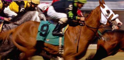 Orejitas hípicas: A escena el clásico del Día de los Padres