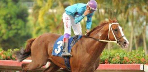 Añade el Barceló a su ristra Don Paco