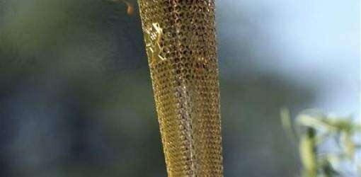 Japonés que sobrevivió el tsunami cargará la antorcha olímpica