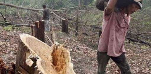 Gobierno Brasil propondrá política mundial de gobernabilidad climática