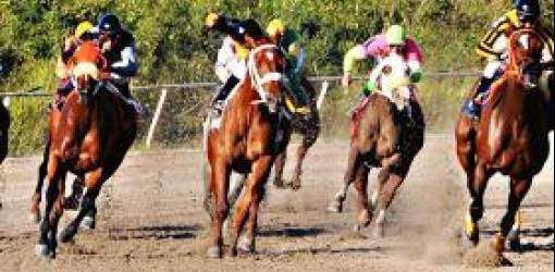 Orejitas hípicas sábado: Clandestina es la legal en la tercera