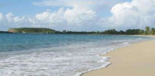 Vieques es la isla reina del Caribe