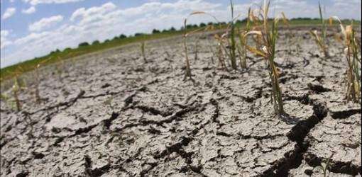 Grave la sequía en territorio de EEUU