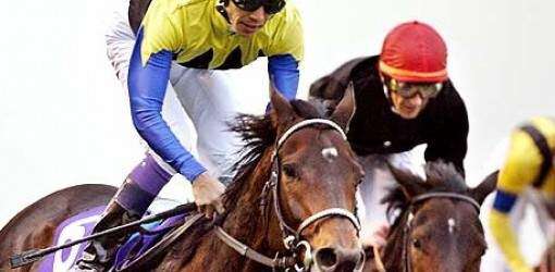 Orejitas hípicas lunes: Sobredosis de carreras