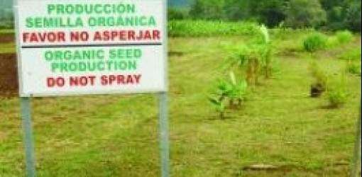 Permuta UPR causa críticas estudiantes y virazón de Muñoz