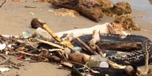 Acción urgente por el Islote La Esperanza