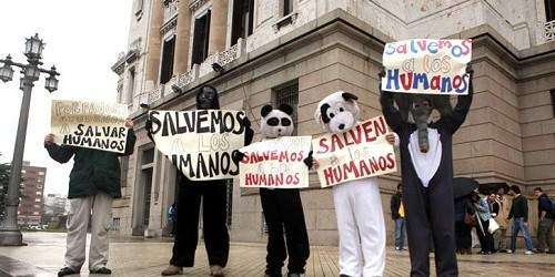 Uruguay: Movimiento contra aborto legal