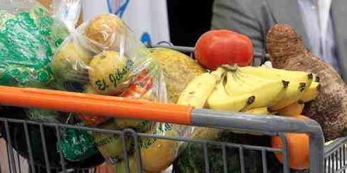 ONU advierte que cooperativas agrícolas son claves para seguridad alimentar