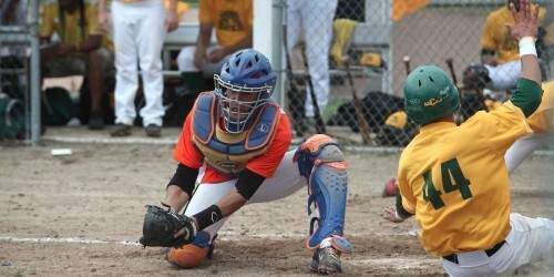 Se reanuda el béisbol de la LAI