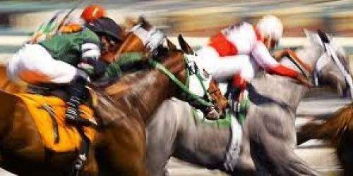 Orejitas hípicas viernes