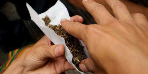 Le compran la marihuana al Estado