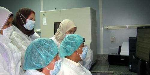 La tecnología revela como murió el faraón Ramsés III