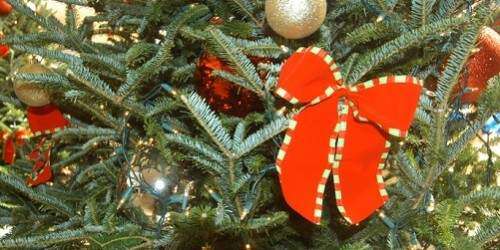 Evento ‘Adopta un Niño’ fomenta la solidaridad entre los jóvenes