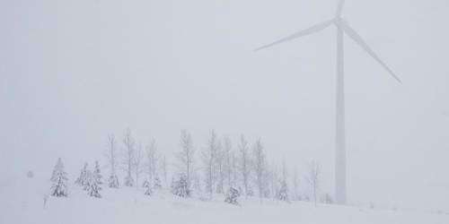 Tormenta de nieve en EE.UU. deja al menos ocho muertos