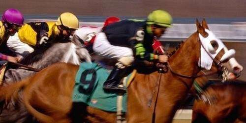 Orejitas hípicas domingo: Se corre hoy el Prensa Hípica