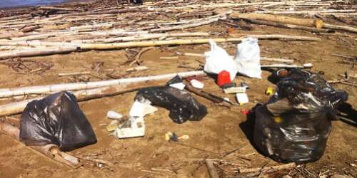 Tortugas pueden ser ‘fumadoras’ de segunda mano