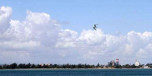 Fin de semana seco con fuerte oleaje