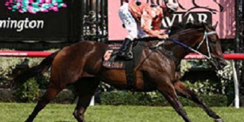 Hipismo: Fenómeno australiana Black Caviar rompe récord de 25 años