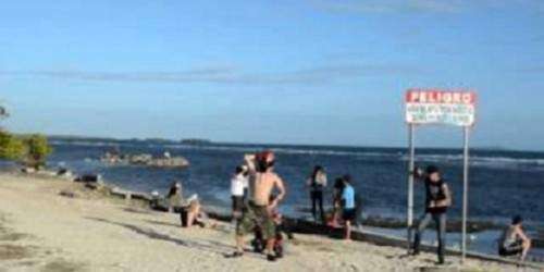 Seis muestras del ‘Harlem Shake’ boricua