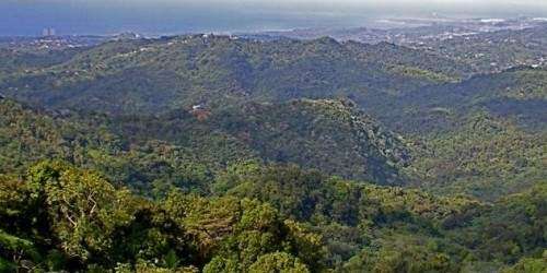 Abrazo al Corredor Ecológico celebra propuesta en defensa de la zona