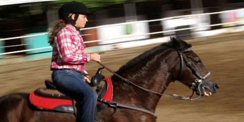 El gymkhana y las vaqueras que lo practican, un deporte olvidado