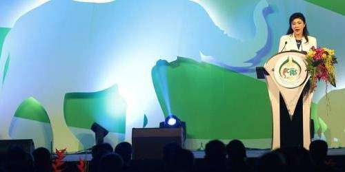 Arranca reunión de la CITES con el tráfico de marfil en la mira