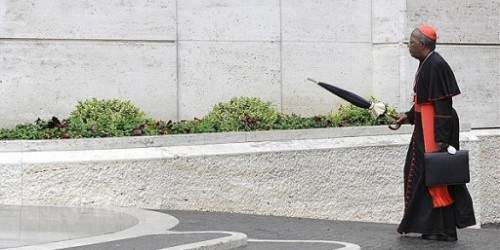 Todos los cardenales electores en séptima reunión que prepara cónclave