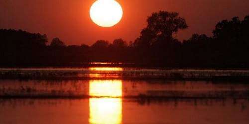 Últimos años del siglo XX fueron los más cálidos de los últimos 1,400