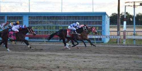 Orejitas hípicas martes: La dupleta es la clave