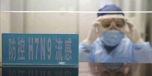 OMS apunta a posibilidad de contagio de H7N9 entre familiares