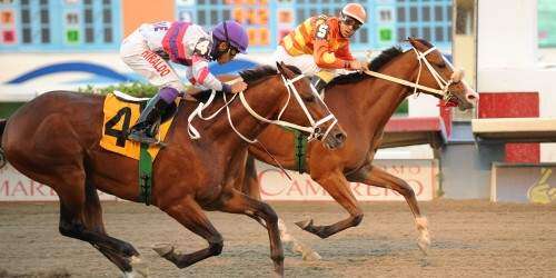 Orejitas hípicas lunes: Corren juveniles; Advier dominó el De Diego