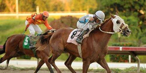 Orejitas Hípicas: See The Town aparenta ser el mayor favorito