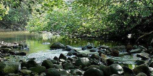 Nuevos fiduciarios en el Fideicomiso de Conservación