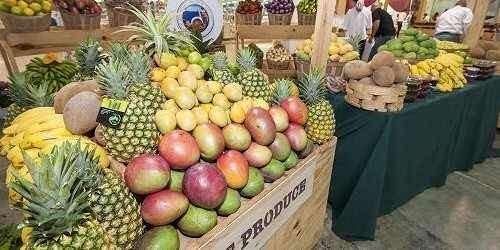 Todavía sin evidencia de que gusto por lo ‘de aquí’ sea reacción contra tra