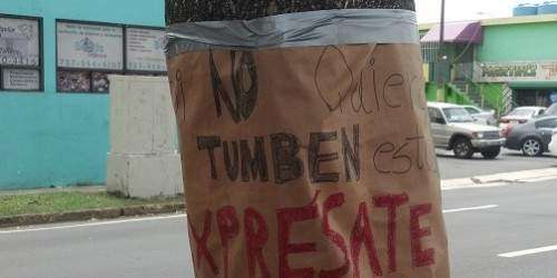 Disputa por tala de árboles en Bayamón