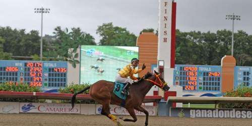 Orejitas hípicas sábado: Preparatoria para el clásico de los Padres