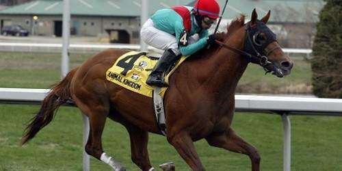 Persiguen  la historia Animal Kingdom y Velázquez