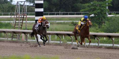 Orejitas hípicas sábado: Juveniles buscando primer triunfo
