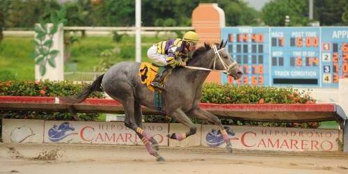 Hipismo: Llueve nieve en el Memorial
