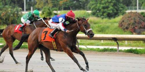 Hipismo: Split The Queens se convirtió en ganadora clásica
