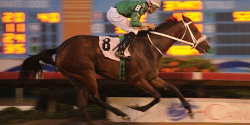 Srta. Aleydy C. se quedó con el Dia de la Raza